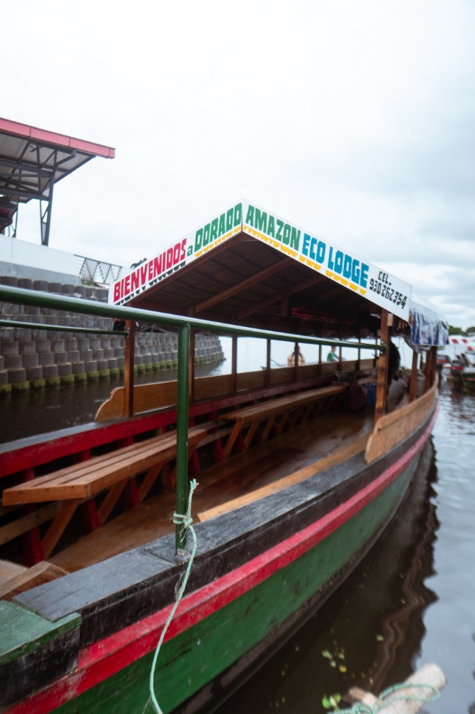 Full Day Amazonas