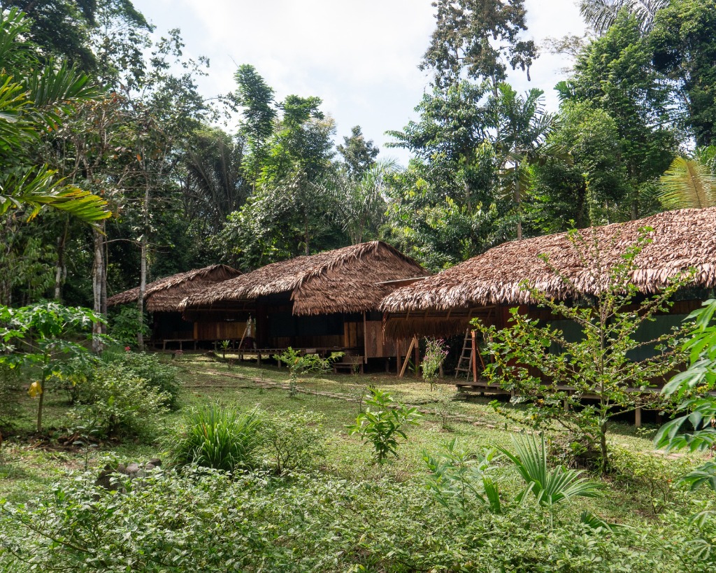 2D/1N Amazonía Ancestral en cabañas ecológicas de Dorado Amazon Lodge